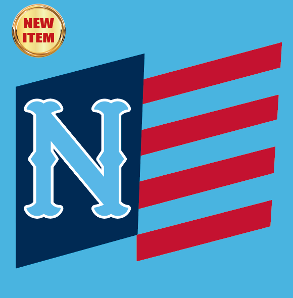 NHS Baseball Design 2 Baseball Columbia Blue
